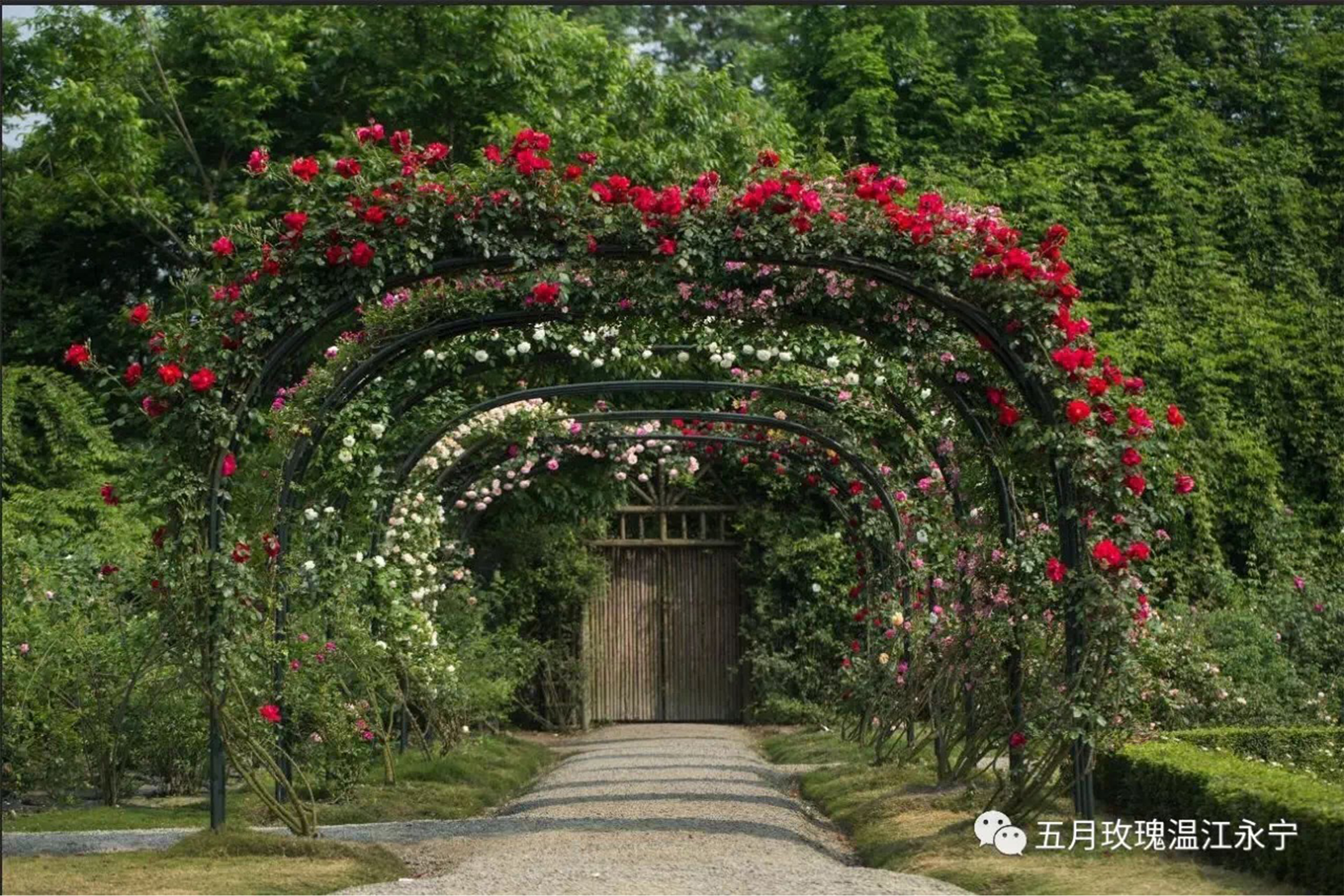 照片